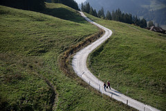 Path near the Schwarzsee