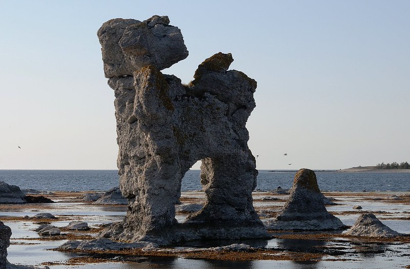 20180530-169F | Das Raukgebiet Gamla Hamn auf Fårö mit dem berühmten Raukfelsen, der wahlweise als 'Hunden' (Hund), 'Kaffepannan' (Kaffeekanne) oder 'S:t Olavs porten' (St.-Olavs-Tor) bezeichnet wird. Gotland/Schweden, 30.05.2018