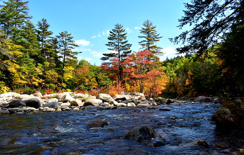 Swift River 3 | by michael freethy