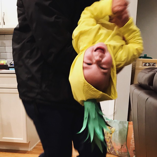 She was, at times, a cranky pineapple, but #lucygraces had so much fun crinkling and collecting candy! #happyhalloween