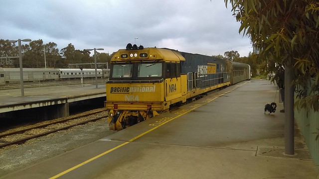 3MA8 pulling into Adelaide parklands terminal NR4