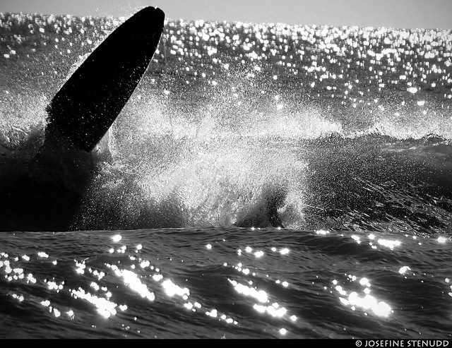 20170101_24k Surfer falling into translucent ocean wave | Rockaway Park, New York City