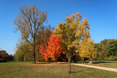 chateau park autumn landscape trees sky color green grass tree czechrepublic kostelecnadorlicí canonpowershotg7xmarkii