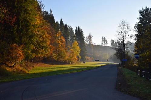 morning mood by JoannaRB2009, Nova Seninka, Czech Republicmorning mood landscape view nature path road tree trees forest woods aut