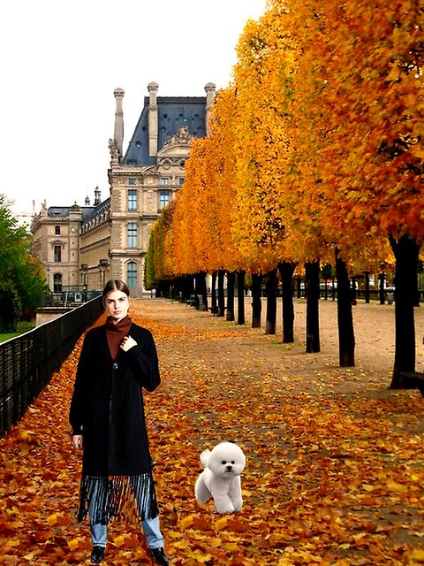 autumn in paris