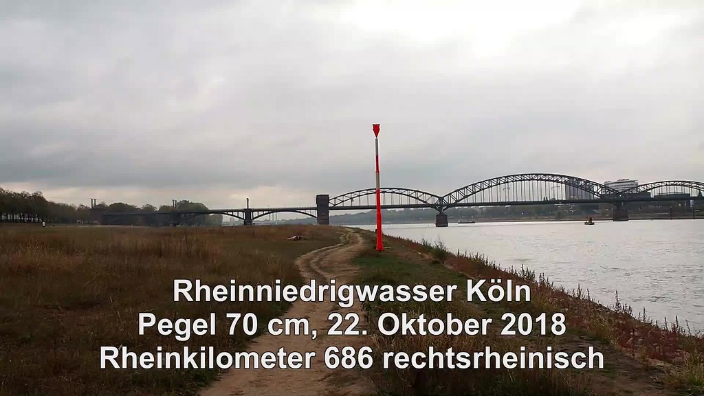 686 r Rheinniedrigwasser Köln 2018 Video