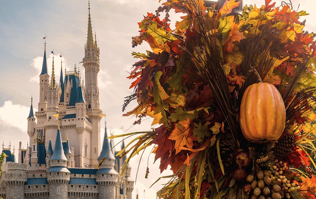 Happy First Day of Fall!