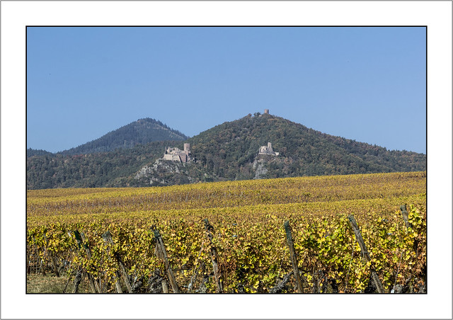 Trois châteaux au dessus des vignobles (Three castles above the vineyards)