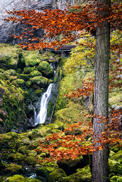 Piesling Waterfall autumn