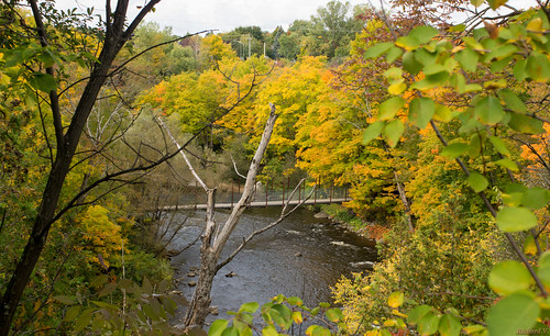 automne autumn parcchauveau québec canada7504 rivière river canada ca saintcharles parc chauveau