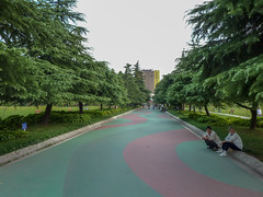 Photo 21 of 25 in the Day 8 - Happy Valley Wuhan, Peace Park, Zhongshan Park gallery