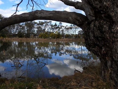 cobram australia numurkah victoria