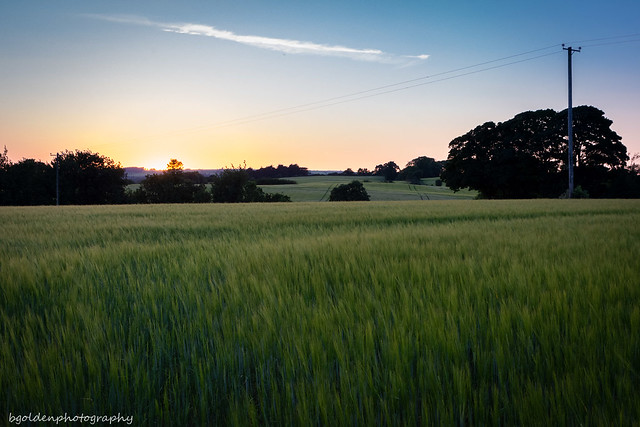 Night falls on a field in Wexford