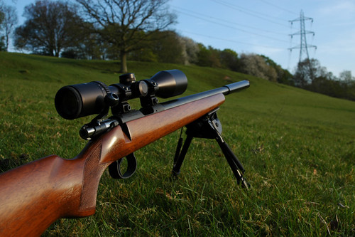 Cz 452 varmint | by Nik24