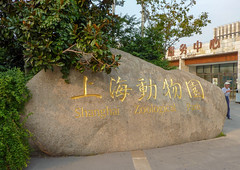 Photo 20 of 25 in the Day 10 - Fisherman's Wharf, Jin Jiang Action Park, Changfeng Park, Zhongshan Park, Shanghai Zoological Park and SWFC Observatory gallery