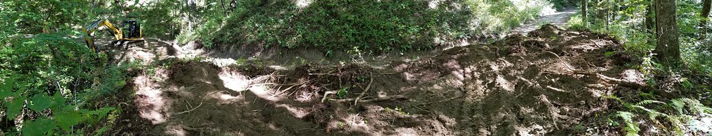 Grassy Ridge/Carter Gap Trail