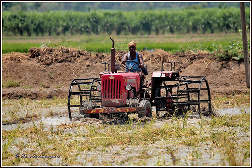 tractor paddyfield agriculture thiruvaiyaru tamilnadu india canoneos6dmarkii tamronsp150600mmg2