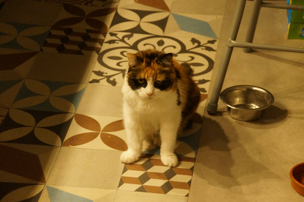 DSC00001
