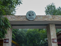 Photo 1 of 25 in the Day 7 - Chengdu Panda Sanctuary gallery