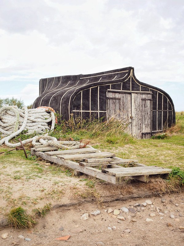 olympus pen f | Flickr