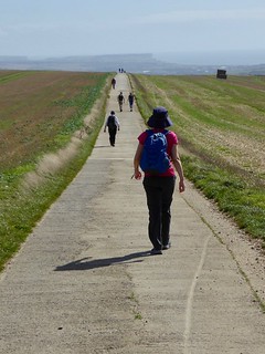 On the downs Lewes to Saltdean walk