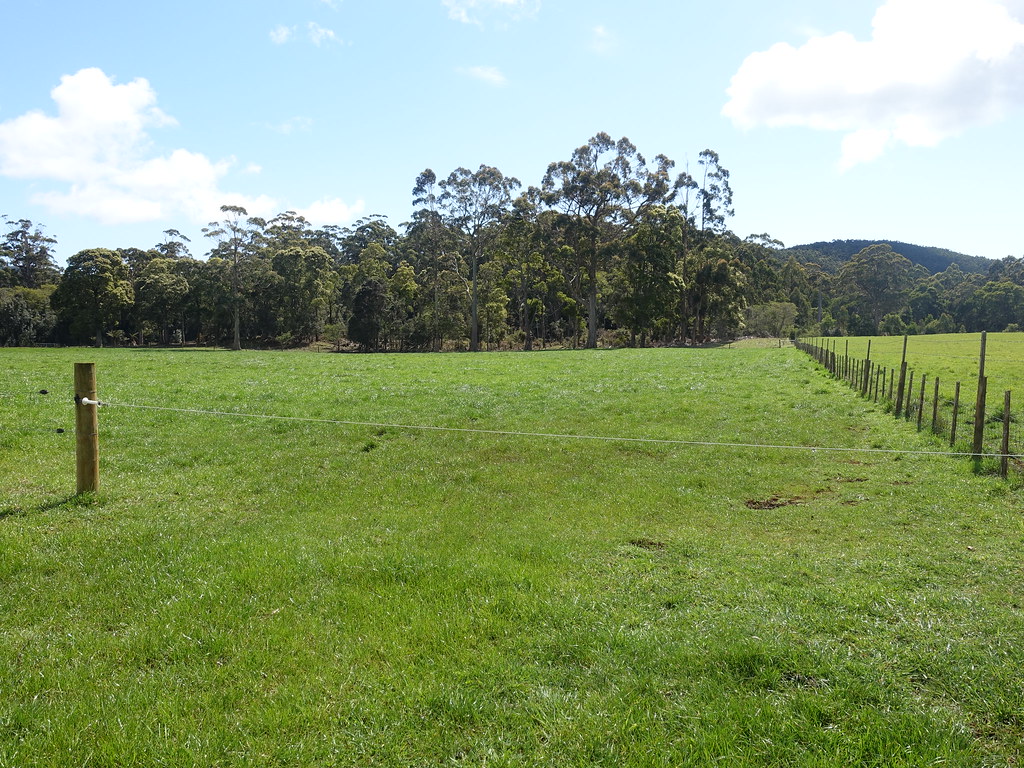 Track through electric fence gate