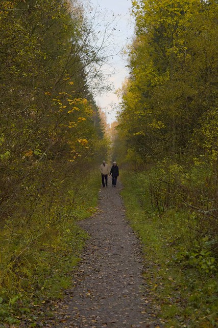 Пожилая пара на прогулке