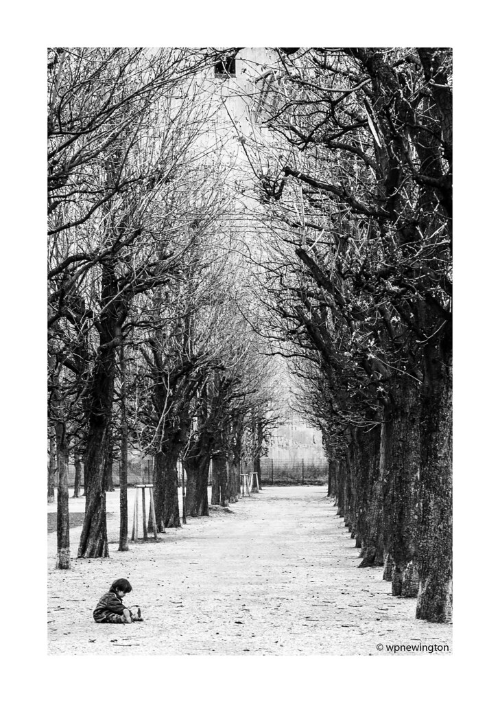 Avenues all lined with trees ©