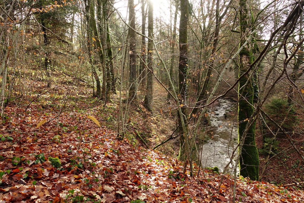 Parcours Nature de Fier et Erbe @ Cran-Gevrier @ Annecy | Flickr