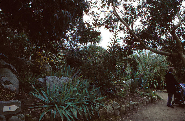 The Exotic Garden of Roscoff