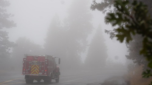 Heavy Fog on the Rim of the World | by San Bernardino Nat'l Forest
