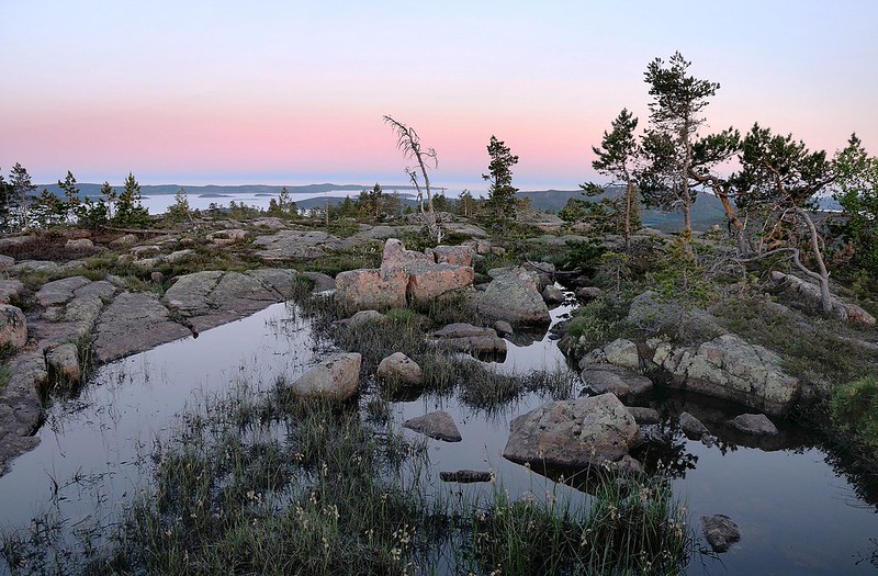 20180523-122F | Skuleskogen-Nationalpark: Auf dem Plateau des Slåttdalsberget. Höga Kusten, Ångermanland / Schweden, 23.05.2018