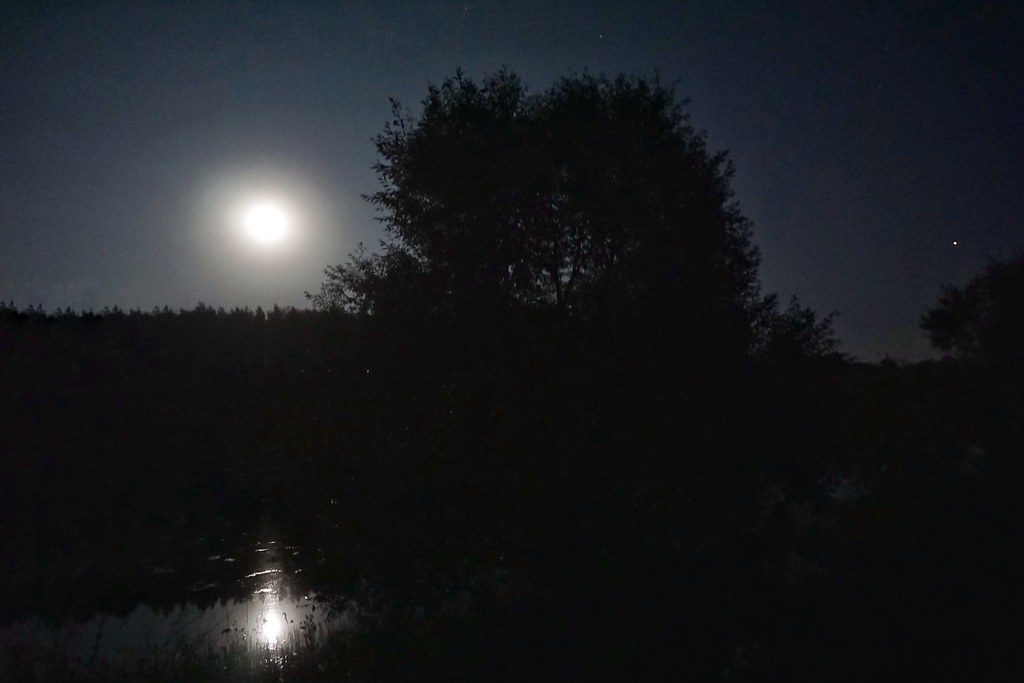 Moon. Night.