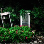 Gone restaurant Et le restaurant s'en alla 行き去ったレストラン #color #green #magenta #fridge #ruin #nature #flickr #couleur #vert #frigo #frigidaire #refrigérateur #ruine #色 #緑 #マゼンタ #冷蔵庫 #廃墟 #自然