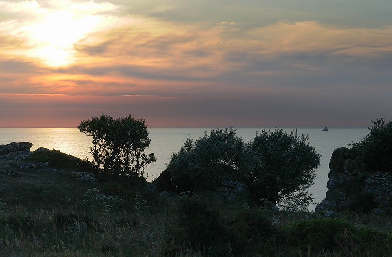 20180528-225F | Abend auf Stora Karlsö. Gotland/Schweden, 28.05.2018