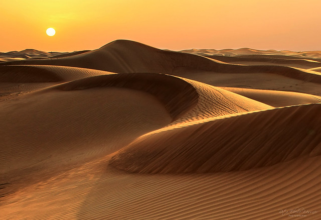 Just sand and wind - Arabian Desert, Sharjah