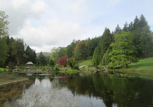 Pond and Bridge