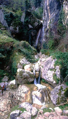 Calabritto (AV), 1979, Pellegrinaggio e festa alla Grotta … | Flickr