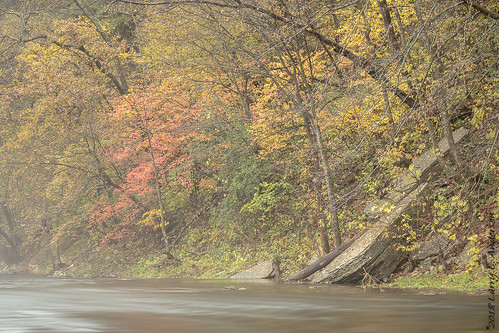 10stopndfilter biome ecosystem forestvillemysterycavestatepark minnesota southbranchrootriver autumn ethereal fall fog forest landscape leaves longexposer river riverbluff rocks seasons trees water