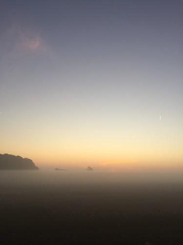 fog fields adisham morning mist