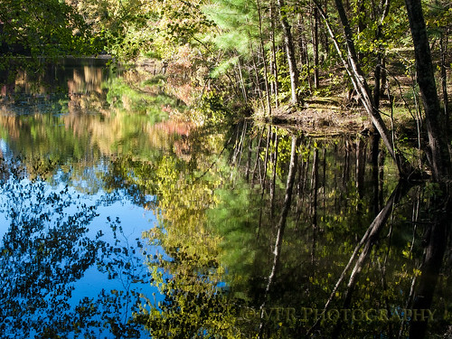 stewartcounty tennessee tn landbetweenthelakesnationalrecreationarea landbetweenthelakes lbl cedarpond autumn reflection reflections mirror mirrored water landscape landscapes peaceful usfs usforestservice southern thesouth rural country countryside tree trees leaves green