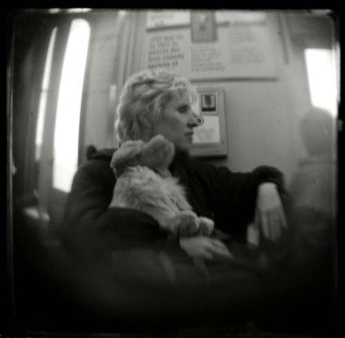 Train ride- The wife, the toy and the boy