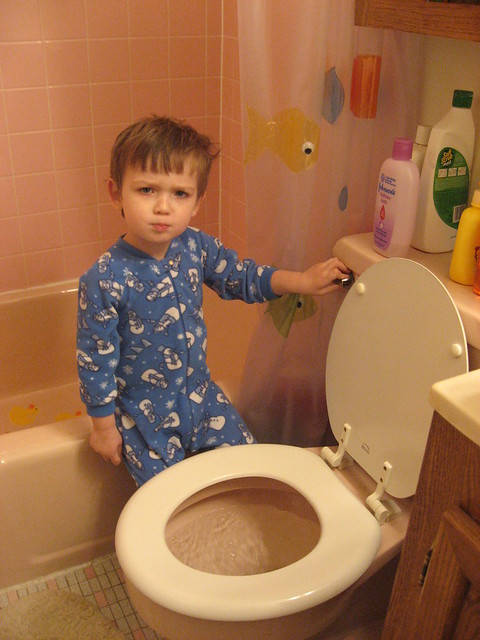 He Just Likes Flushing the Toilet