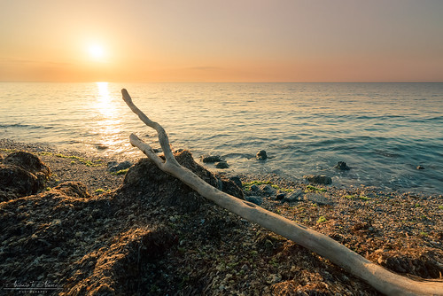 beach sun sky wood stick sunrise dawn playa sol cielo madera palo amanecer agua nikond750 tamron 1530 landscape seascape paisaje almeria spain españa sp water