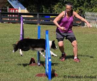 IMG_6012 | Saturday action at the 100th Agility Trial for LC… | Flickr