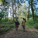 49450-008: Energy Access Project in Vanuatu