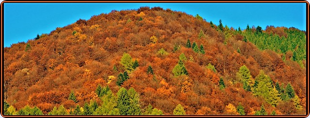 Autumn in the Bucegi/Carpathians mountains - 1
