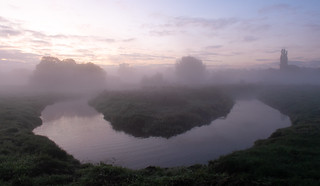 misty river sow at eccleshall
