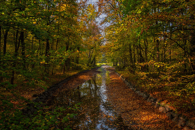 Herbst am Schlosskanal
