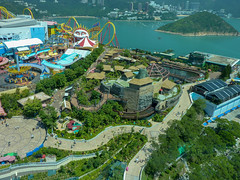 Photo 9 of 25 in the Day 18 - Ocean Park and Hong Kong Sightseeing gallery